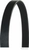 HERTH+BUSS JAKOPARTS J1050825 V-Ribbed Belts